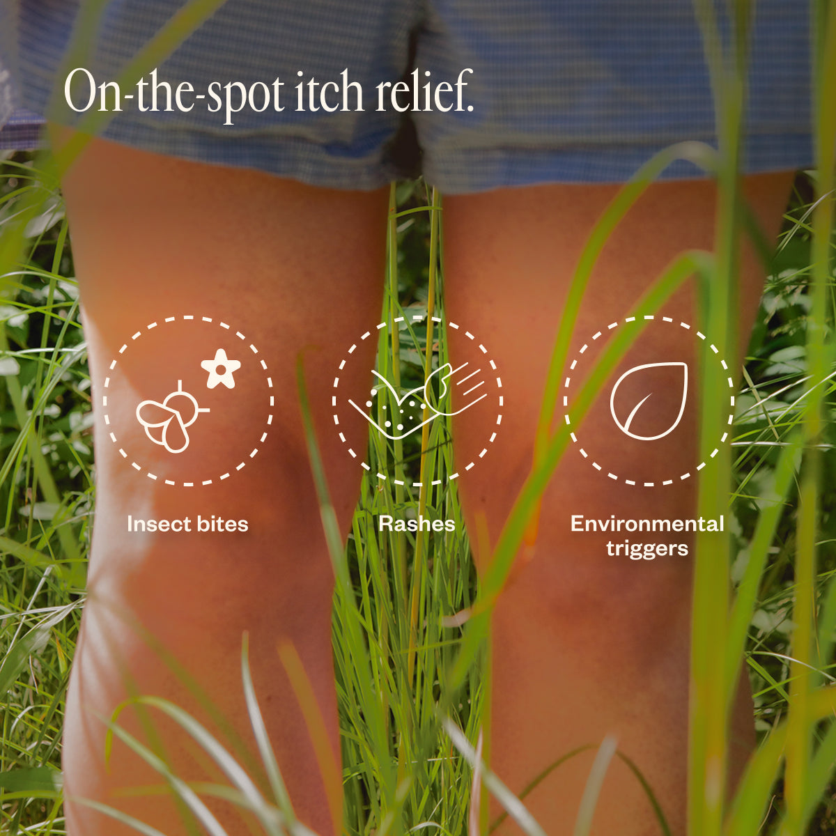 Dermedial™ Anti Itch+