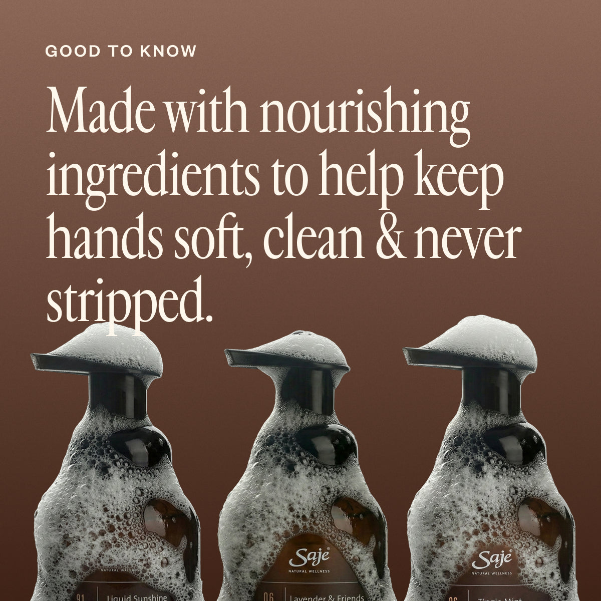 Foaming Hand Soap Trio
