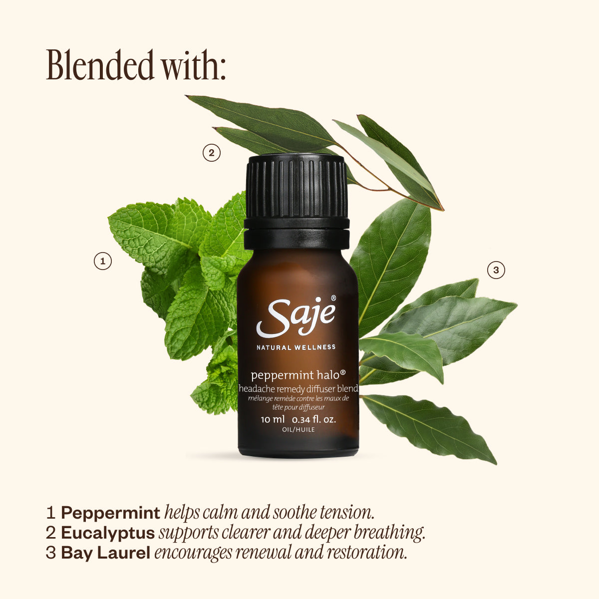 Peppermint Halo