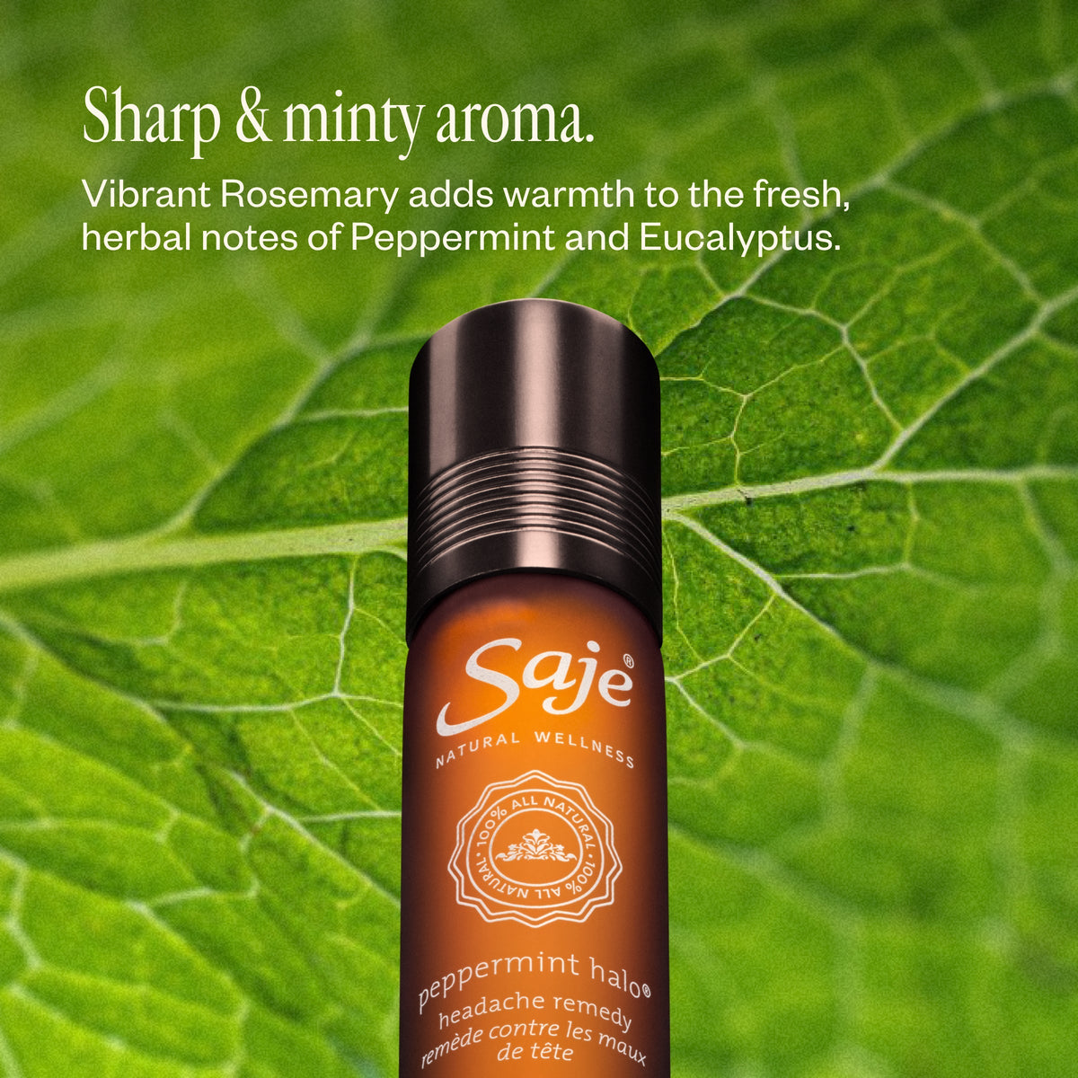 The Best of Saje Bundle
