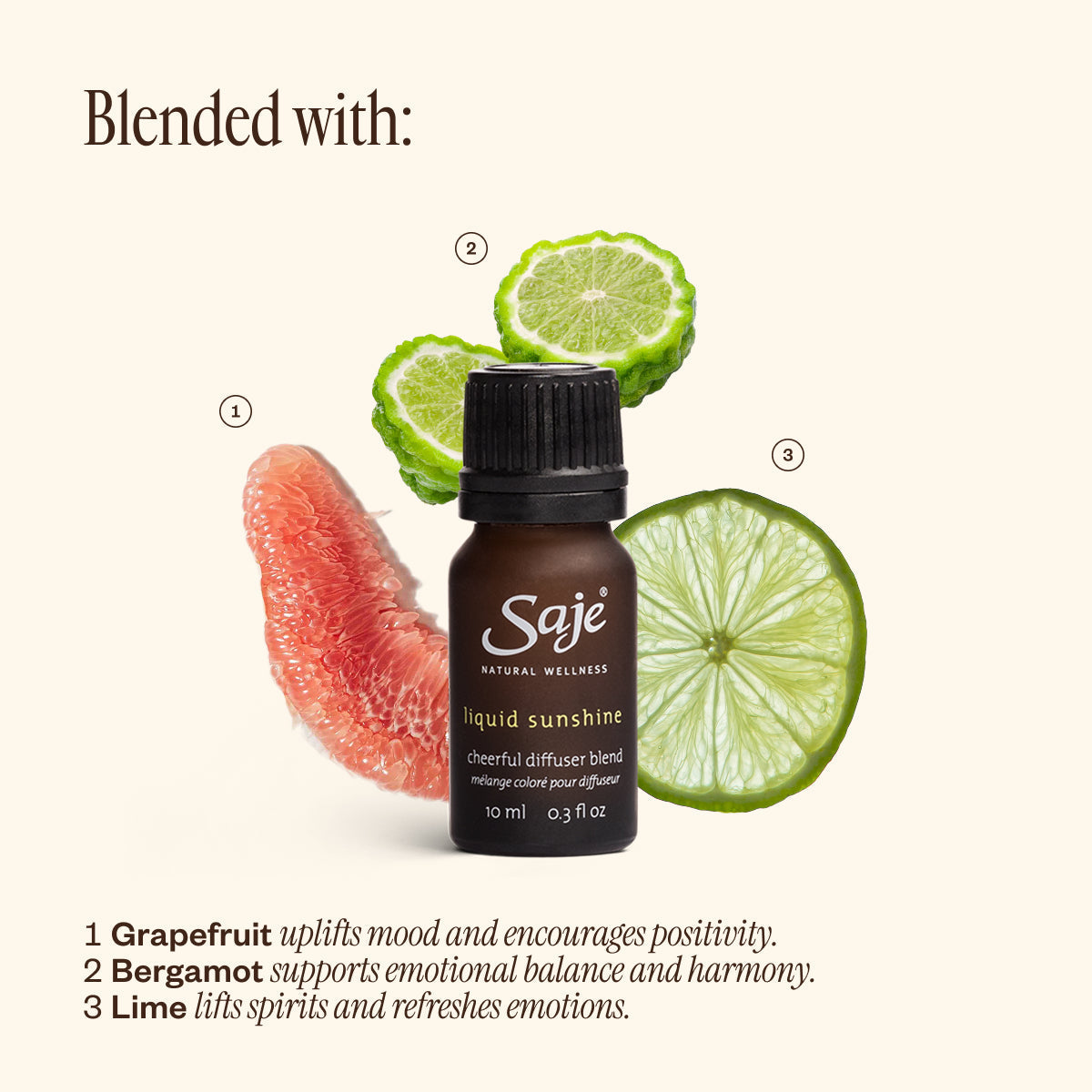 The Best of Saje Bundle