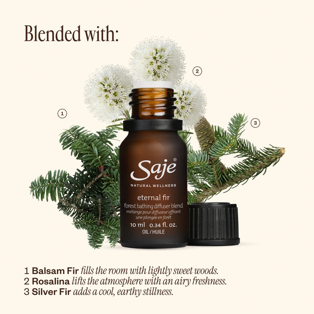 Autumn Air Collection