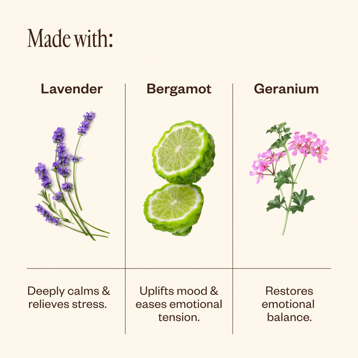 Aroma Halo & Unwind