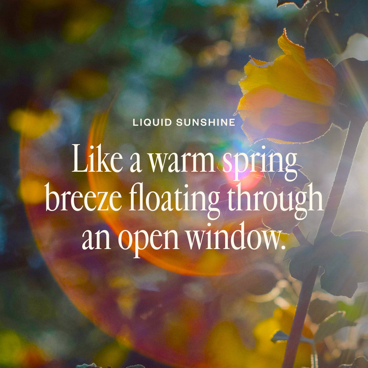Spring Refresh Diffuser Bundle
