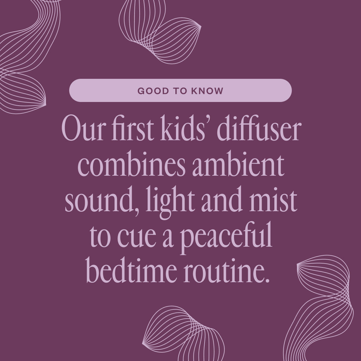 Lil' Dreamers