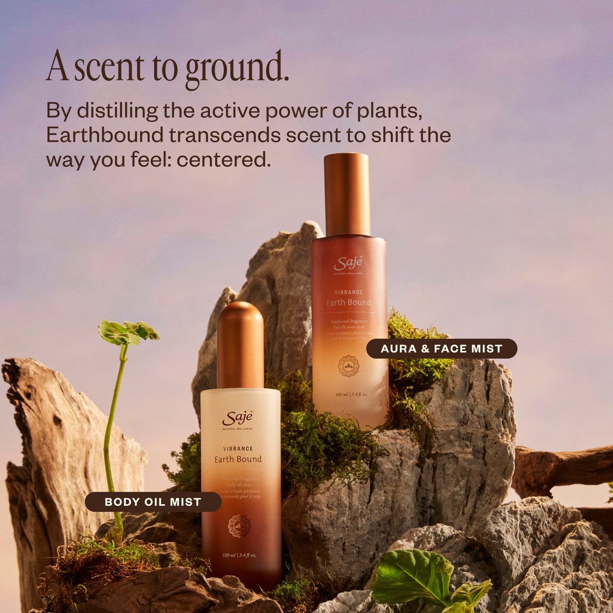 Vibrance Earth Bound