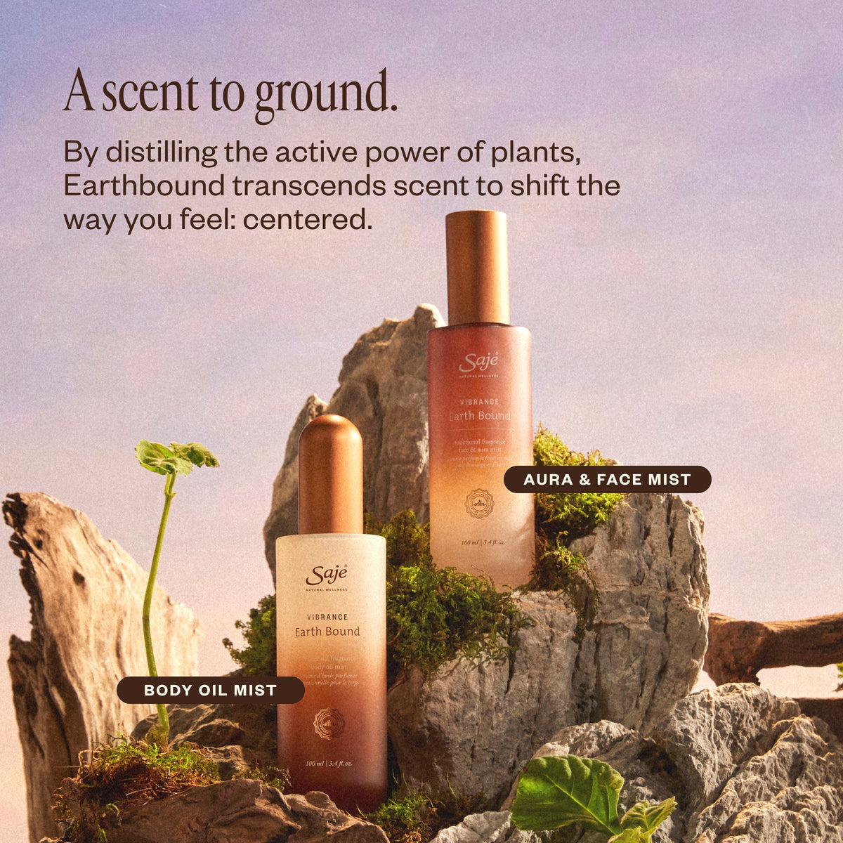 Vibrance Earth Bound